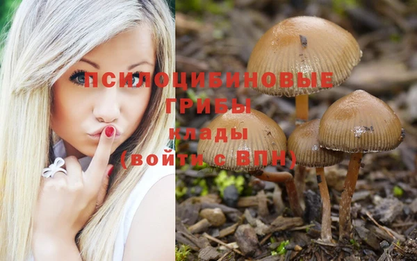 кристаллы Елабуга