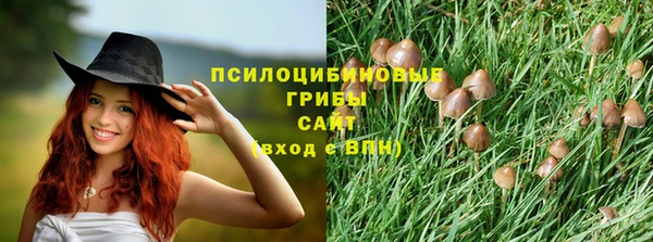 марихуана Елизово